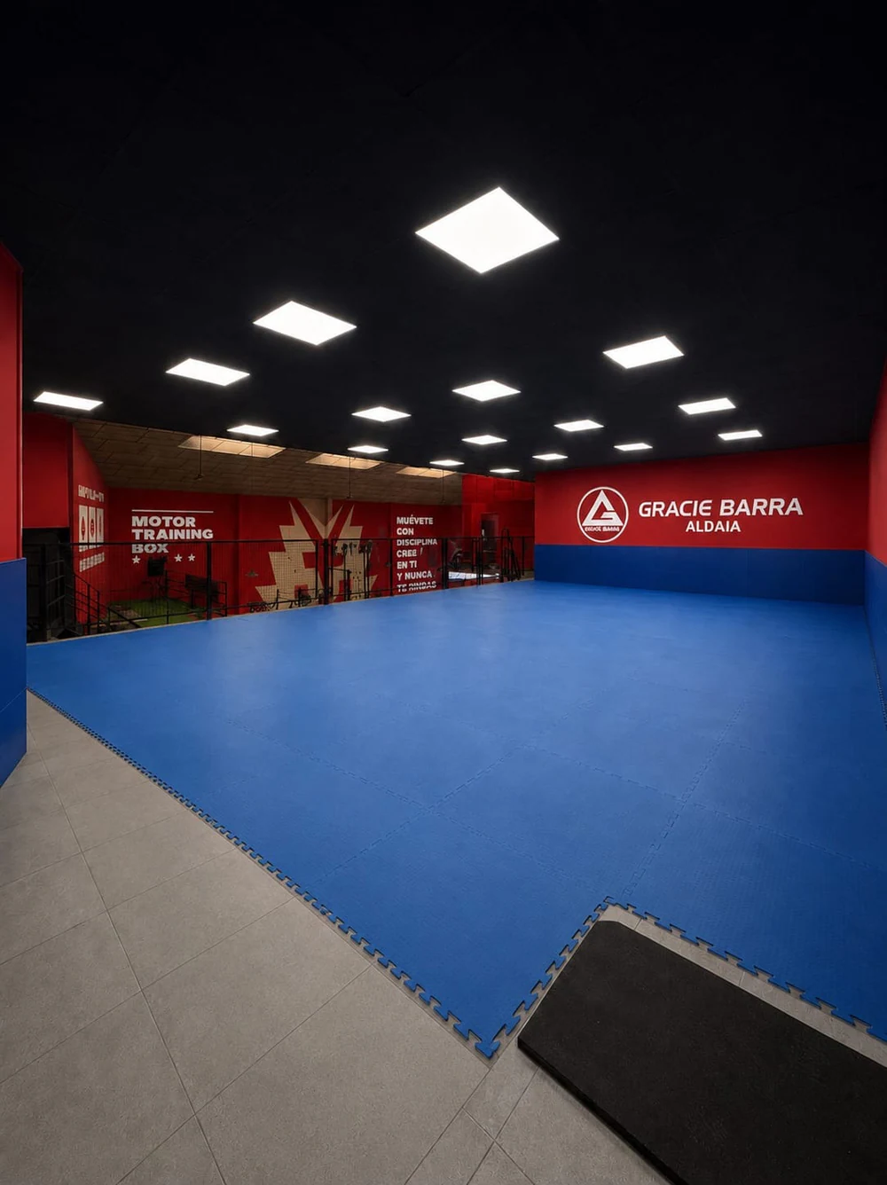 Gracie Barra Aldaia