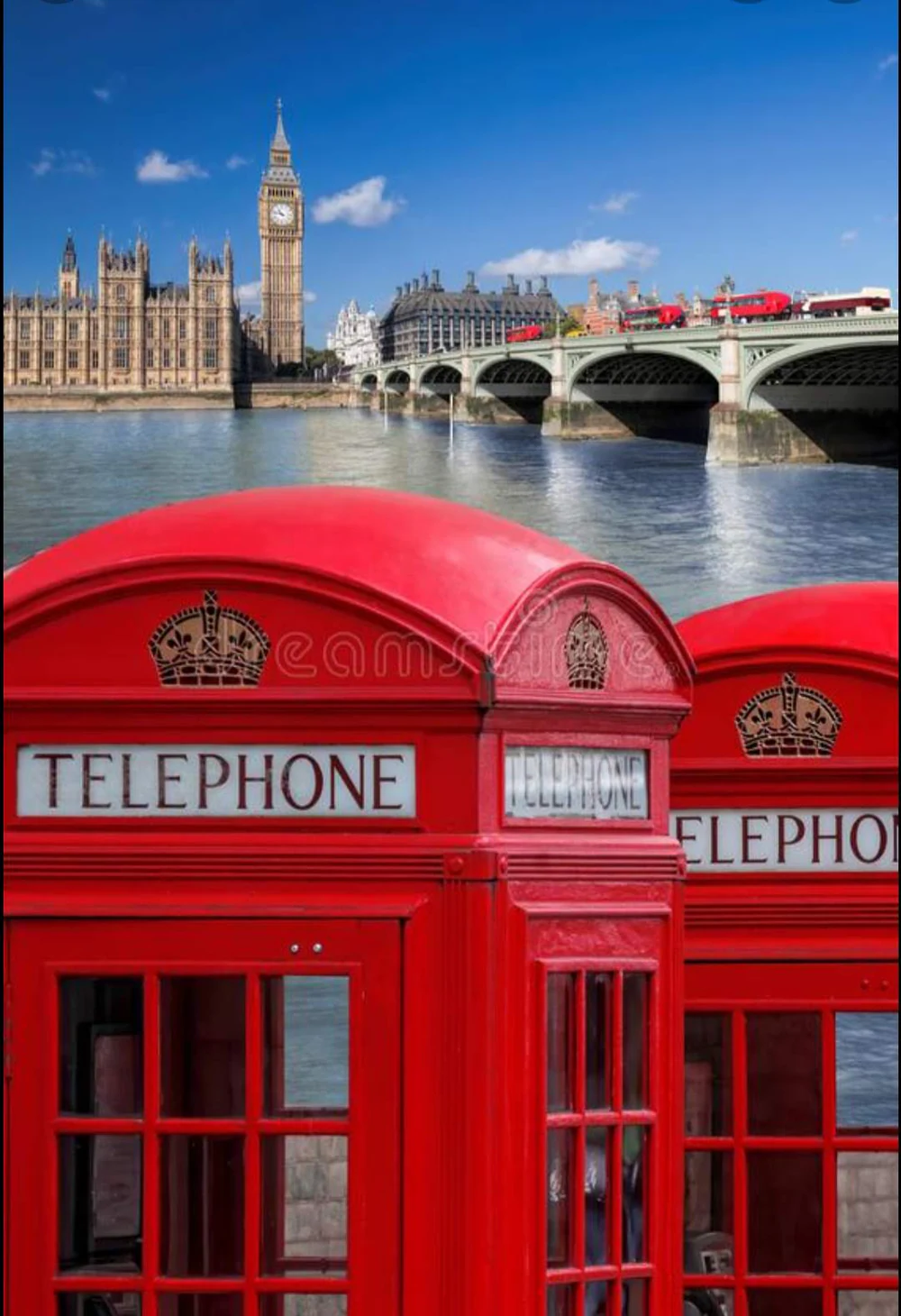 RED BUS English Language School