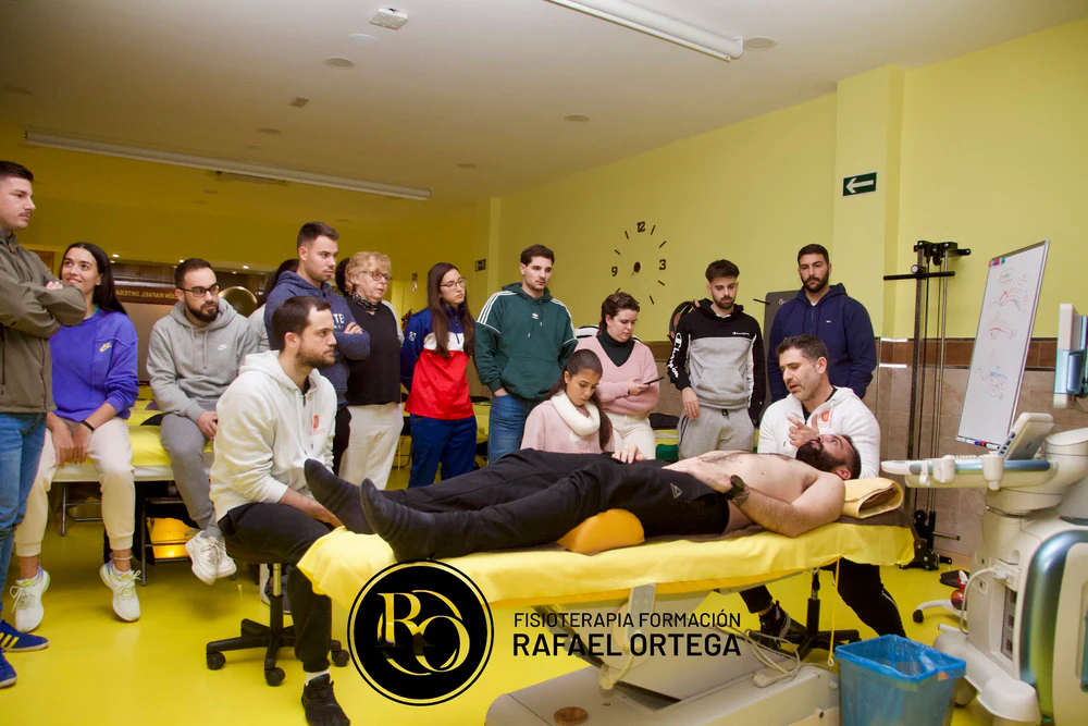 Foto de En forma: Academia para fisioterapeutas y entrenadores.