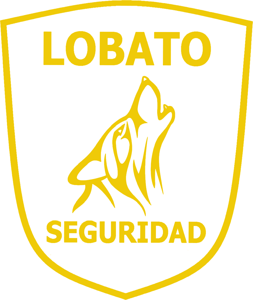 Academia Lobato