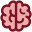 CEO Academia de Repaso
