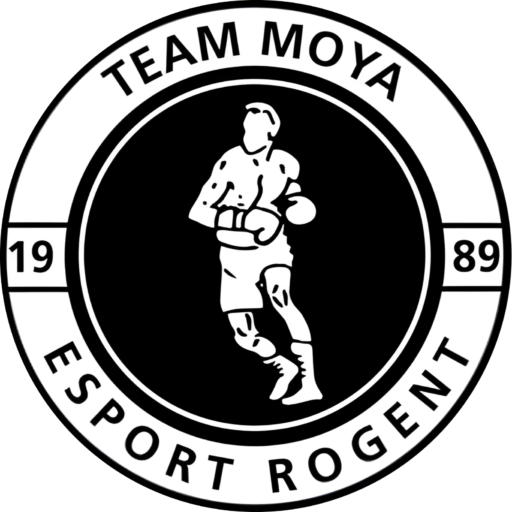 Esport Rogent